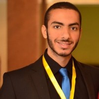 Noureldin Salem Email