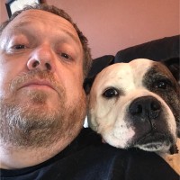 Long & McQuade Musical Instruments Employee Niall Mulholland's profile photo