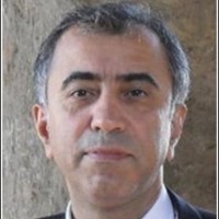 Kaveh Mashayekhi- Email