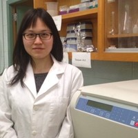 Yan Wu Email & Phone Number