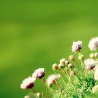 RICH MOON CO., LTD. Employee Khanh Ho's profile photo