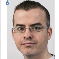 David Mannion Email