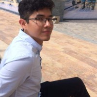 Jesús Gamaliel Ronzón Cruz Email