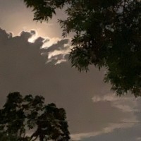 Next Level Recovery Employee Jennifer Torres's profile photo