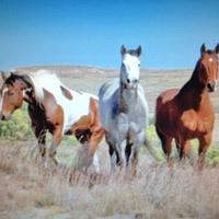 Mid-State Consultants Employee Jesse Ray's profile photo
