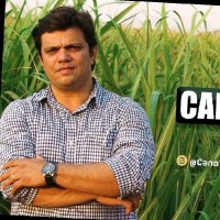 Michel Fernandes Email & Phone Number