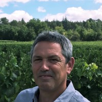 M&Wine Employee Michel Dumoulin's profile photo