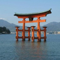 Honshu Employee Alvise Gasparotti's profile photo