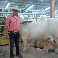Jose Arturo Mendoza Email & Phone Number