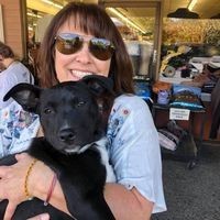 Humane Society of Sonoma County Employee Ann Gorath's profile photo