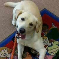 Jones County Sheriff Employee John Ervin's profile photo