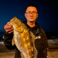 DealerCenter Employee Shawn Tan's profile photo