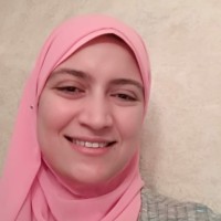 Sarah Elsayed Email