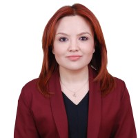 Begüm İnceci̇k Email