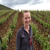 ThinkFoodGroup Employee Jaclyn Stetler's profile photo