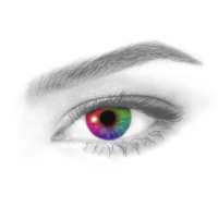 Visual Impact Studios Employee Marcus Slater's profile photo