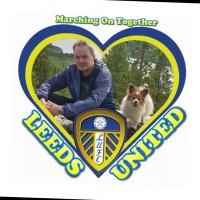 ASEA, LLC Employee Magnus Berg's profile photo