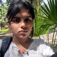 Nishika Yadav's profile photo