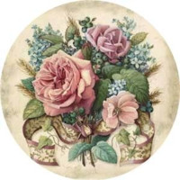 Fremont County BOCES Employee Anne-Marie Orgera's profile photo