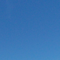 Stuart Davidson Email & Phone Number