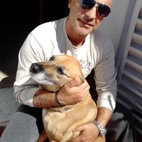 Gruppo Comifar Employee Sandro Barbieri's profile photo