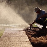 MZ Services Employee Marcelo Zlochevsky's profile photo