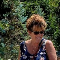 Warren Memorial Hospital Employee Joan Mott's profile photo