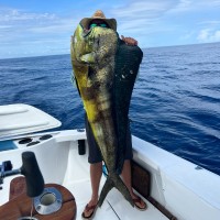 Self-employed Employee Nathan Hobby's profile photo