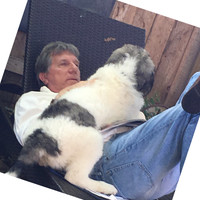Ron Hofmann Email & Phone Number