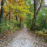 Molecular Products Employee Ruben C.'s profile photo