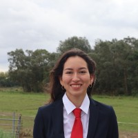U-BASE Employee Celeste Raquel Zamora Díaz's profile photo