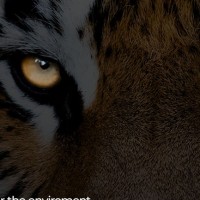 Habari Media Employee Calvin Maconochie's profile photo