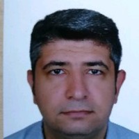 A.B FOODS INC. Employee Smmm Ceylan's profile photo