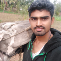 Grb Dairy Foods Pvt Ltd Employee Baskar Baskar's profile photo