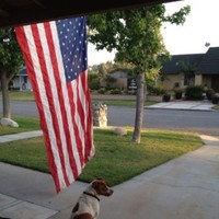 Coast Machinery Movers Employee David Rowley's profile photo