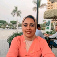 SAI Engineering Incorporated Employee Alaa Gharib's profile photo