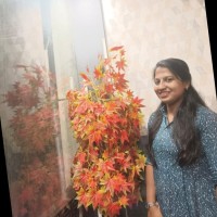 Wibits Web Solutions LLP Employee Jeslin Sumitha's profile photo
