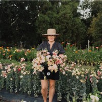 Lisa Thibodeau Email & Phone Number