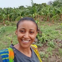 Sareme Gebre Email