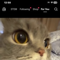 Hard Work Employee Johnny Wishbone's profile photo