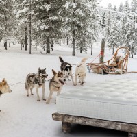 Markus Anderson Email