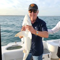 Ceos2go, LLC Employee Rick Parks's profile photo