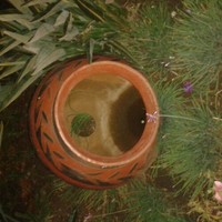 Feedempitseng Employee Matsie Malatji's profile photo