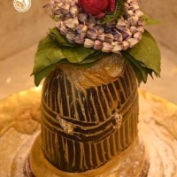 Excelon Solutions Employee Vik Pandoo's profile photo