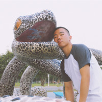 70mai Employee 家辉 张's profile photo