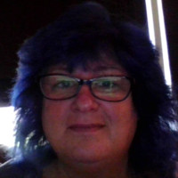 Robin Hines's profile photo