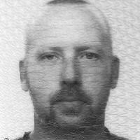 Volda University College (HVO) Employee Berge Myrene's profile photo