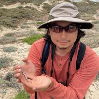 Brandon Pang Email & Phone Number