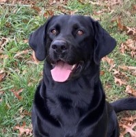 R&R Family of Companies Employee William Hedge's profile photo