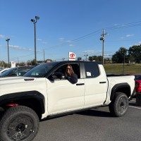 Performance Toyota Employee Dylana Wolcott's profile photo